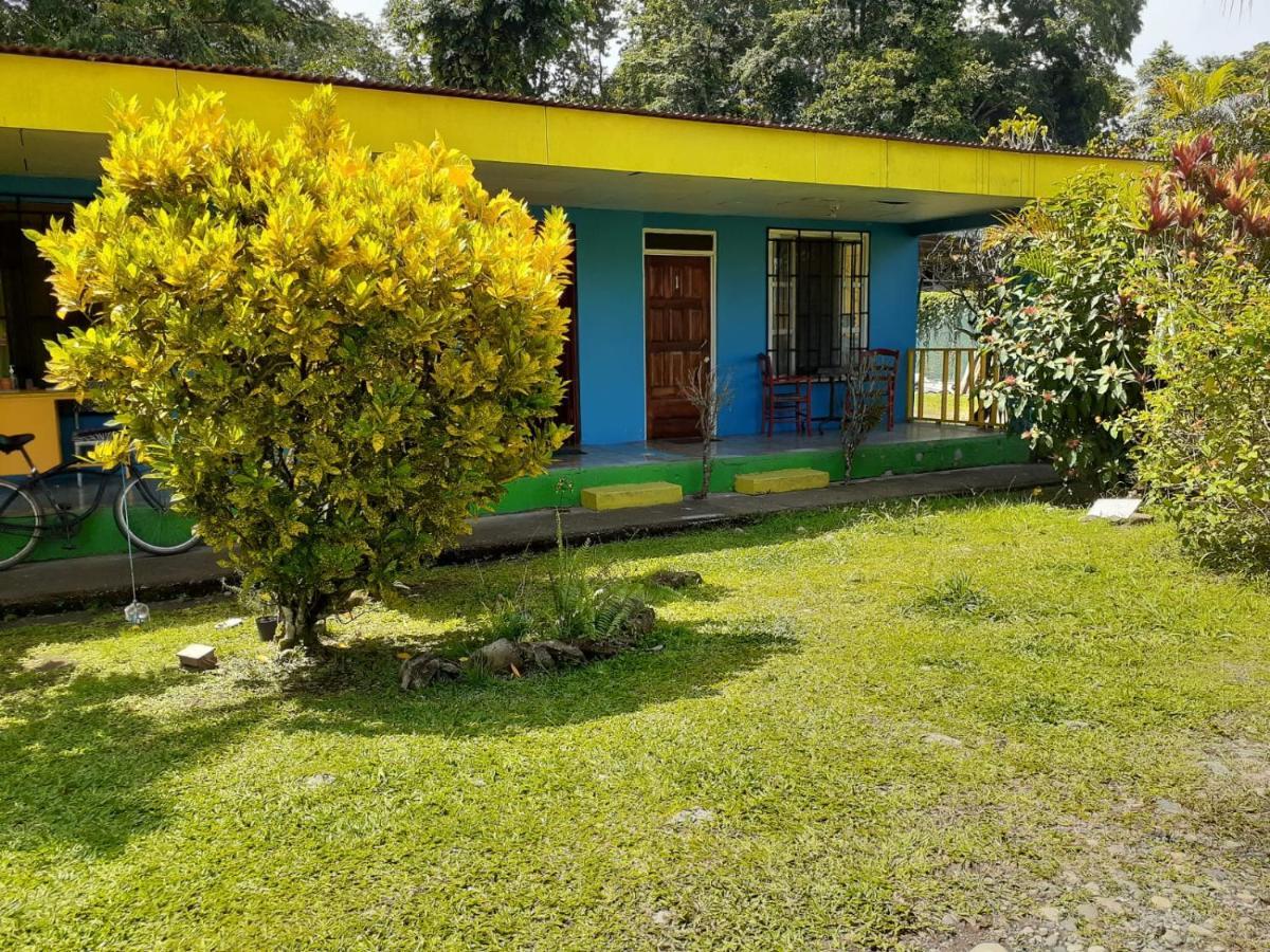 Rooms Palmeras Cahuita Εξωτερικό φωτογραφία