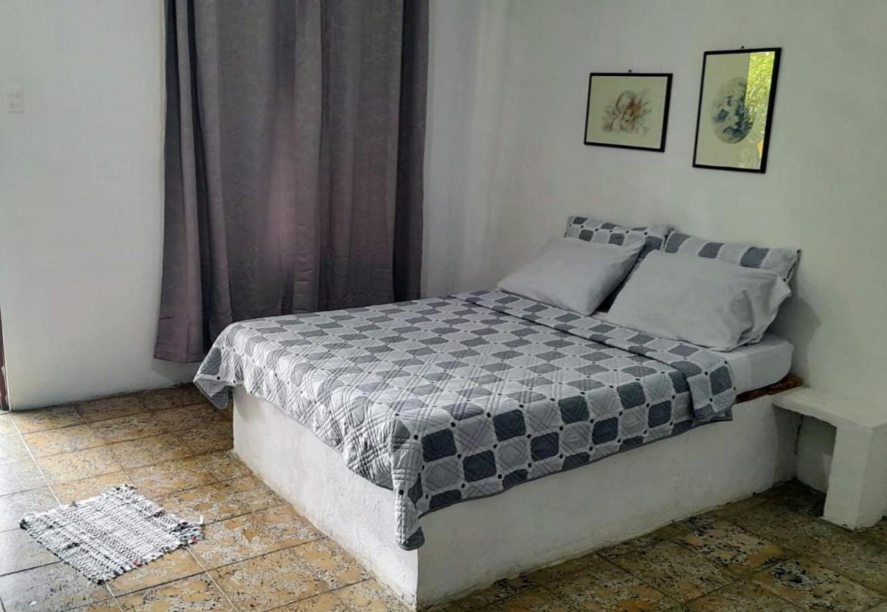 Rooms Palmeras Cahuita Εξωτερικό φωτογραφία