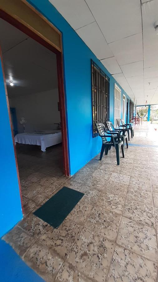 Rooms Palmeras Cahuita Εξωτερικό φωτογραφία
