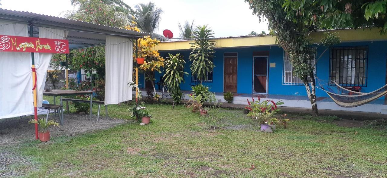 Rooms Palmeras Cahuita Εξωτερικό φωτογραφία