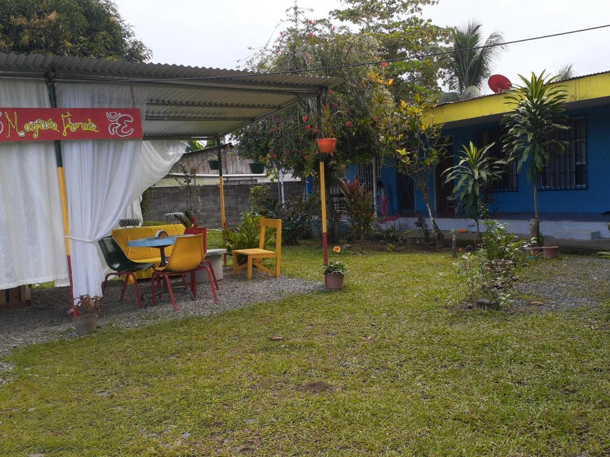 Rooms Palmeras Cahuita Εξωτερικό φωτογραφία
