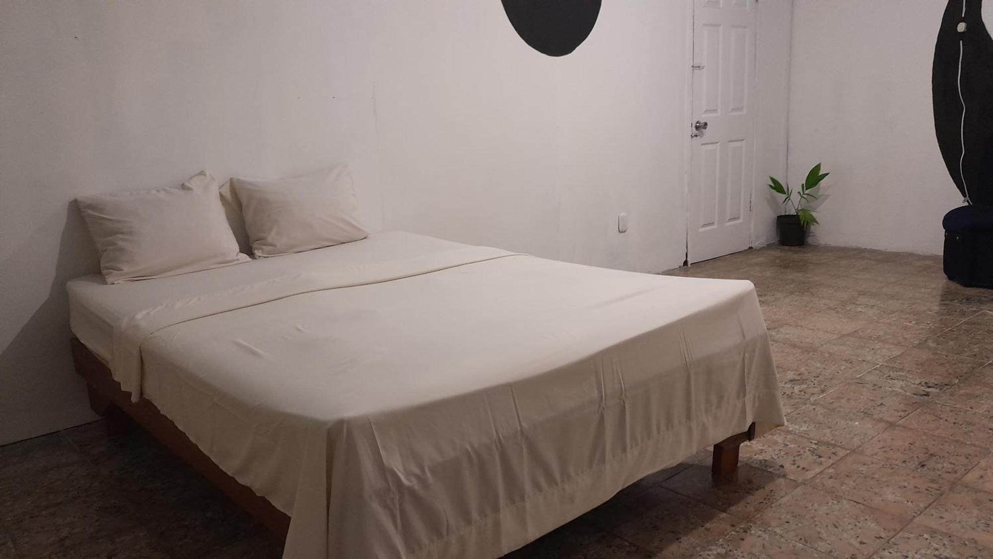 Rooms Palmeras Cahuita Εξωτερικό φωτογραφία