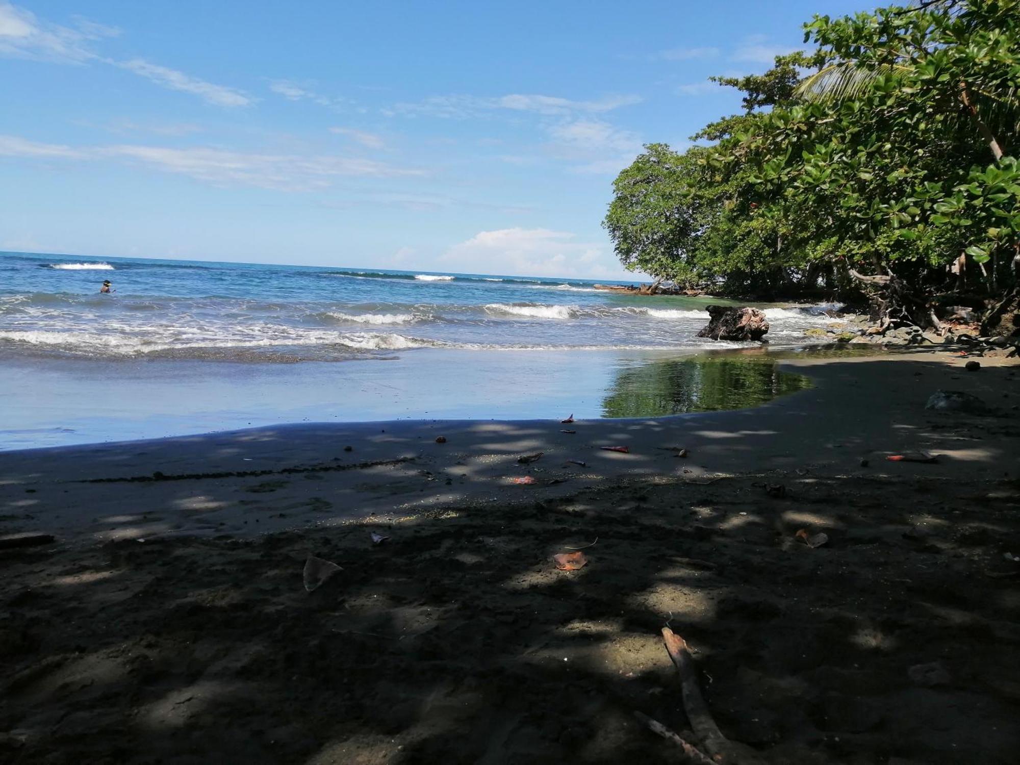 Rooms Palmeras Cahuita Εξωτερικό φωτογραφία