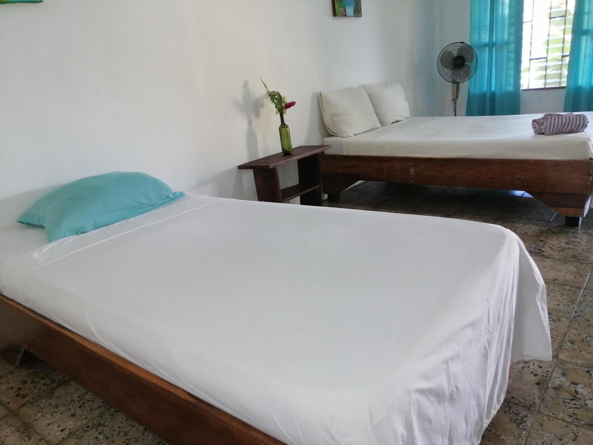 Rooms Palmeras Cahuita Εξωτερικό φωτογραφία