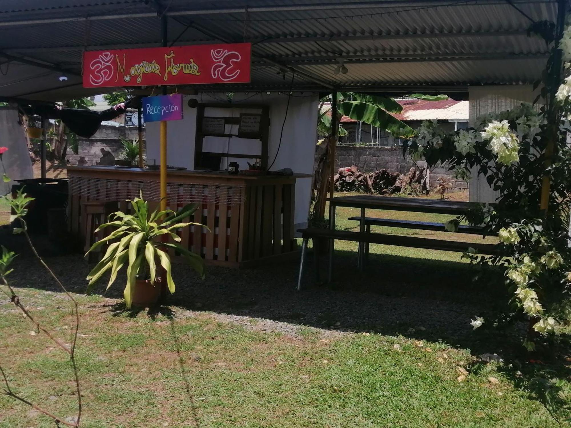 Rooms Palmeras Cahuita Εξωτερικό φωτογραφία