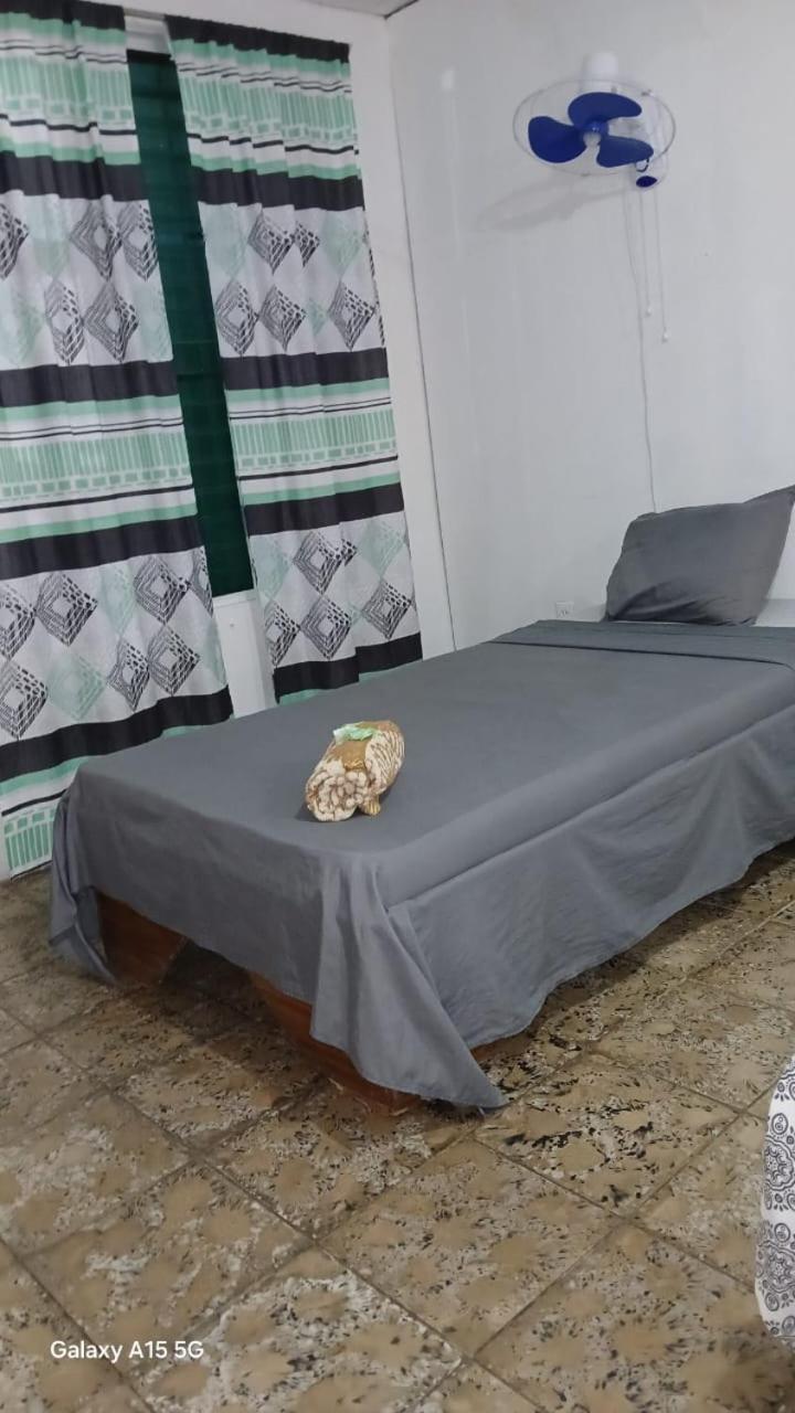 Rooms Palmeras Cahuita Εξωτερικό φωτογραφία