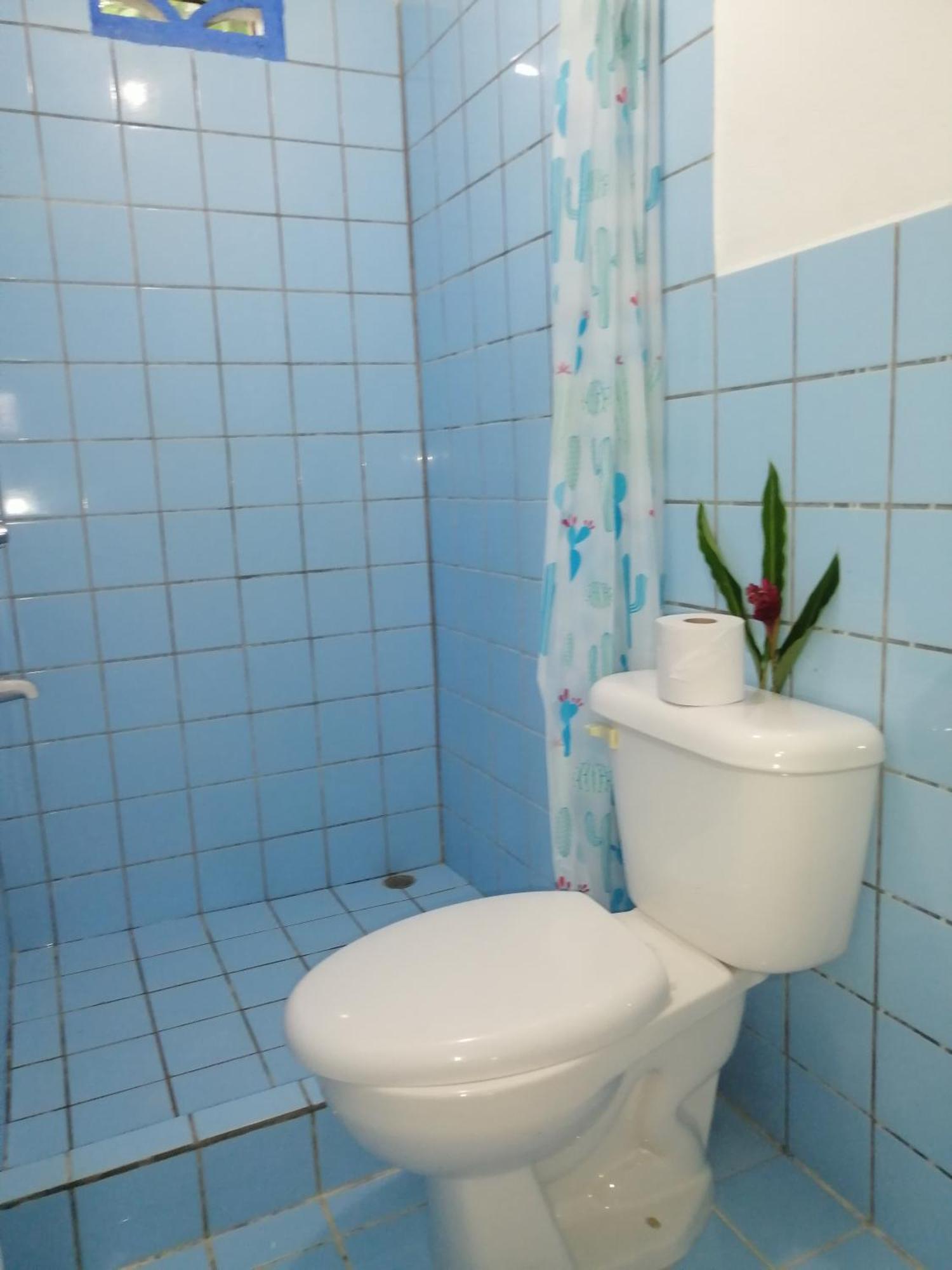 Rooms Palmeras Cahuita Εξωτερικό φωτογραφία